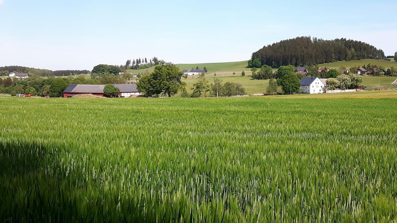 Landhotel "Lichte Aue" Lichtenau Stutzengrun Esterno foto